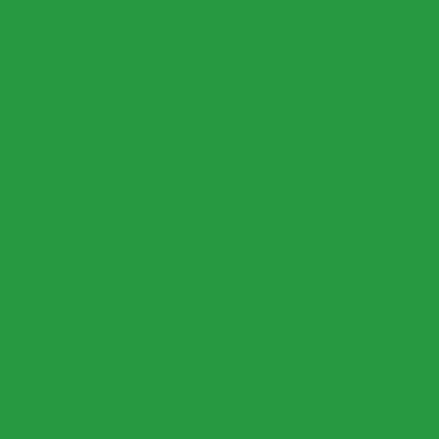 Ruby + Bee: Evergreen Ruby + Bee: Evergreen