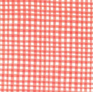 Gingham Play: Coral