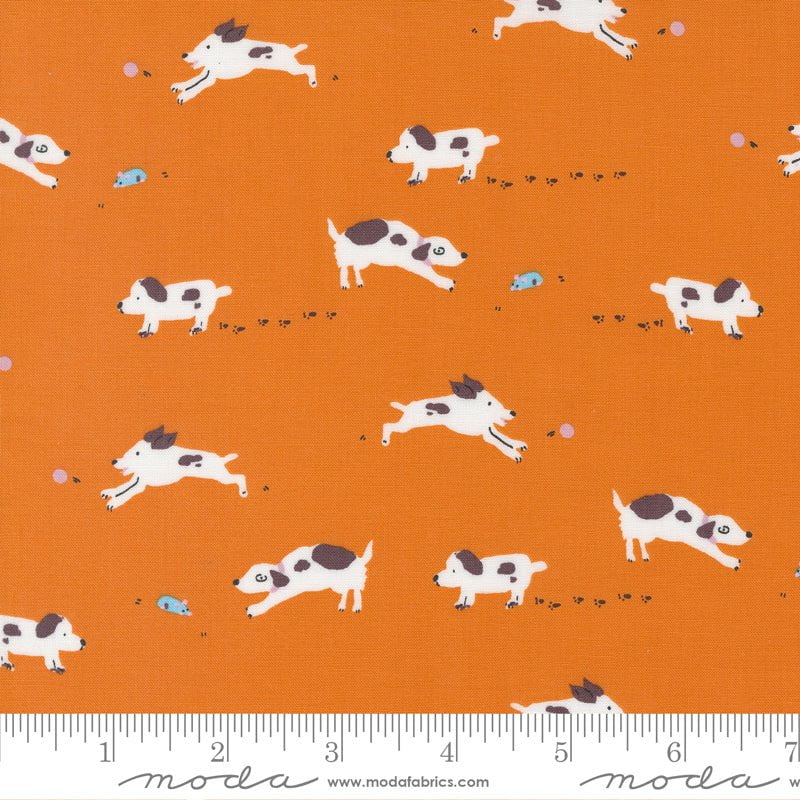 Pips: Puppy Dog Tails in Orangeade