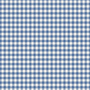 WIDEBACK Tilda: Gingham in Blue