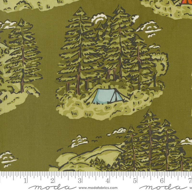 The Great Outdoors: Vintage Camping in Forest