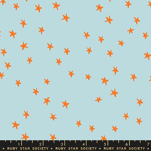 NEW Starry: Polar