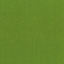 Between the Lines: Aloe