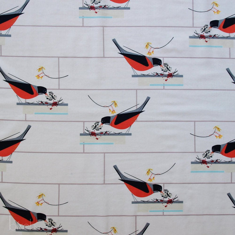 Ford Times Birds Vol 2: American Robin**ALMOST GONE**