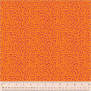 West Palm Beach: Beau in Orange