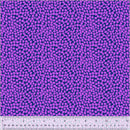 West Palm Beach: Beau in Purple