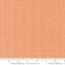 Bug Collector: Bug Net in Orange