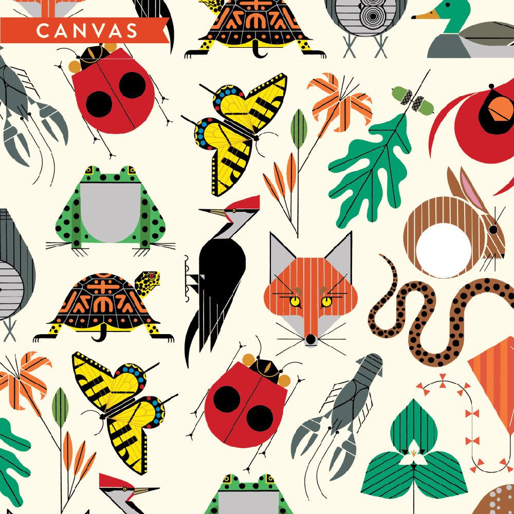 CANVAS Space For All Species CANVAS Space For All Species