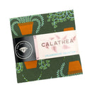 Calathea: Charm Pack