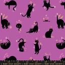 Freaky Familiars: Catwalk in Witchy