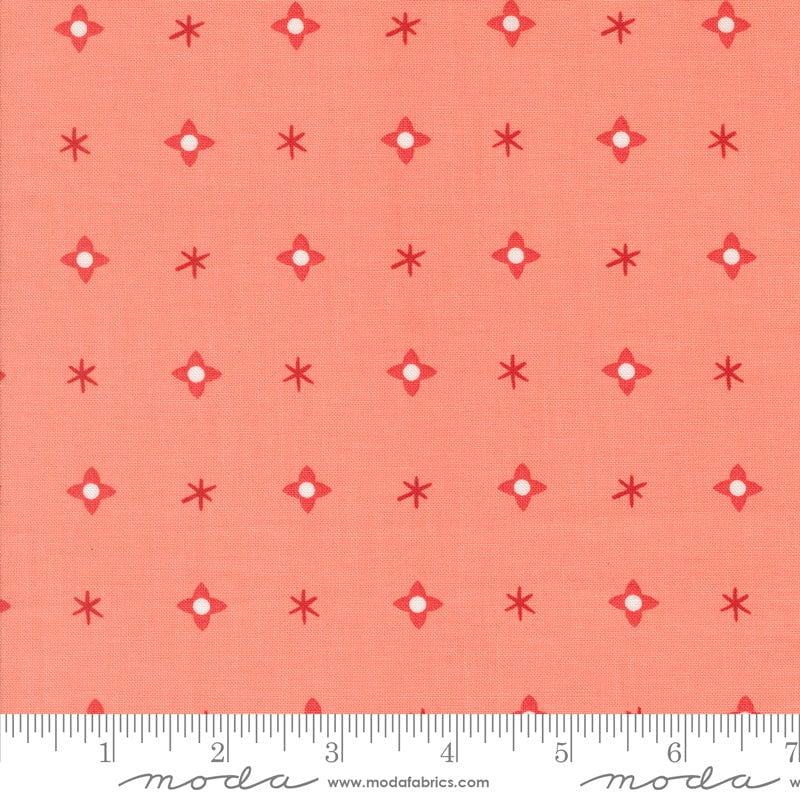 Tiny Christmas: Jelly Roll