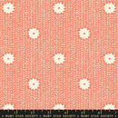 Winterglow: Cozy Stars in Papaya