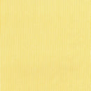 Between the Lines: Daisy