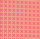 Petit Pan: Django in Tangerine