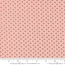 Bug Collector: Dot Dot Dot in Petal