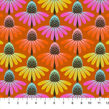 Perennial Border: Echinacea Rhythm in Fire