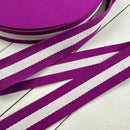 Stripe Webbing: Iris & White Webbing