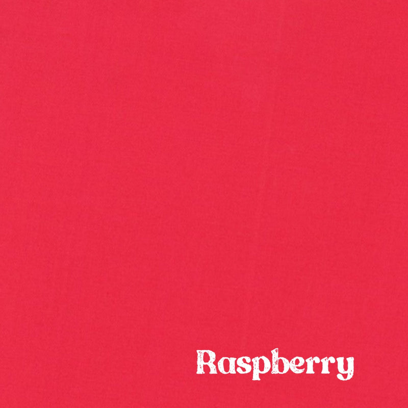 1" Solid Webbing: Raspberry