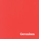 1" Solid Webbing: Geranium