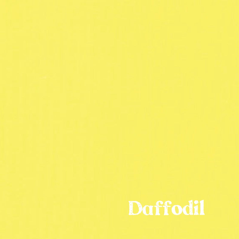 1" Solid Webbing: Daffodil