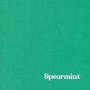 1" Solid Webbing: Spearmint