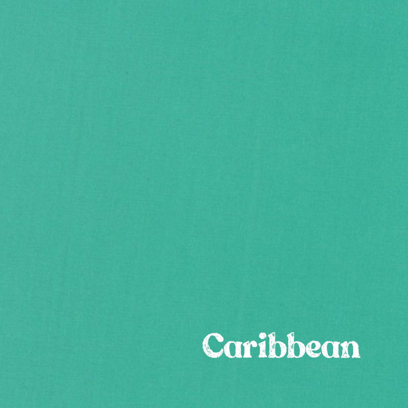 1" Solid Webbing: Caribbean