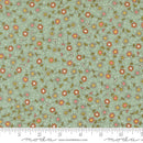 Bug Collector: Meadow in Sky