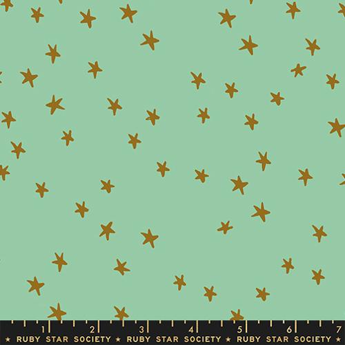 NEW Starry: Jelly Roll