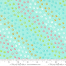 Here Kitty Kitty: Paws in Aqua