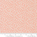 True to Hue: Layer Cake