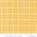 Bug Collector: Plaid in Sunshine