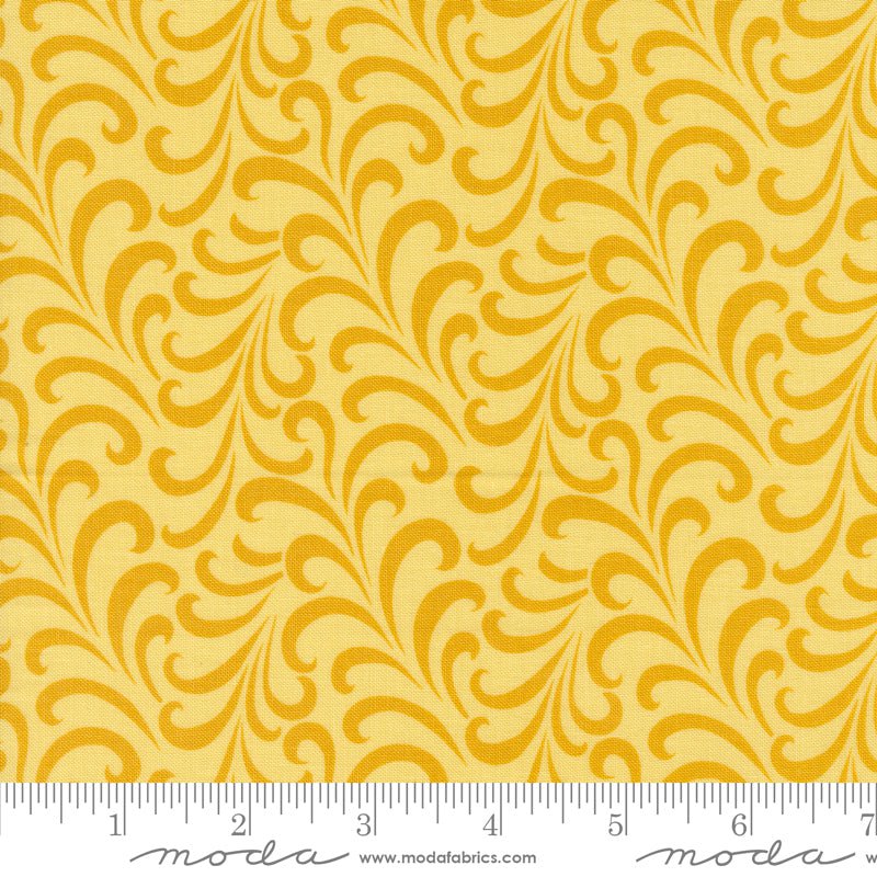 Tango: Portico in Meringue