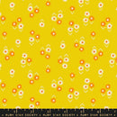 Juicy: Baby Flowers in Golden Hour