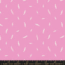 Teddy and The Bears Jelly Roll