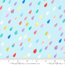 Whatever the Weather: Raindrops in Rain