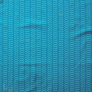 Charley Harper Basics: Ripple in Bayou