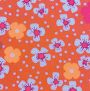 Petit Pan: Set of 8 Helium Azur