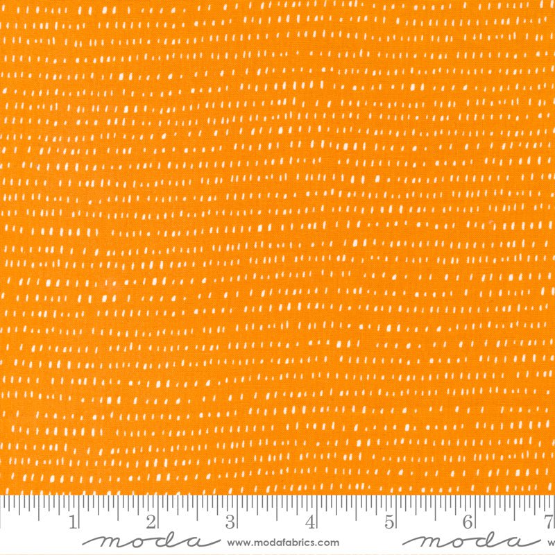 Marigold: Seed Stripe in Sunshine