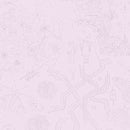 Chrysanthemum: Sketch in Whisper