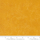 Balisong: Spotted in Sunbeam