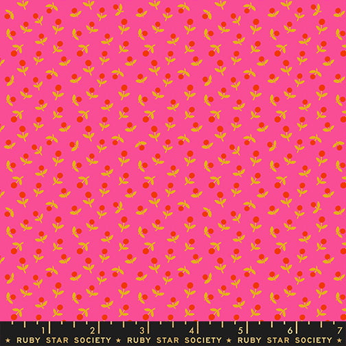 Catnap: Sprout in Playful