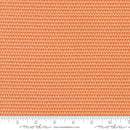 Bug Collector: Squiggles in Orange