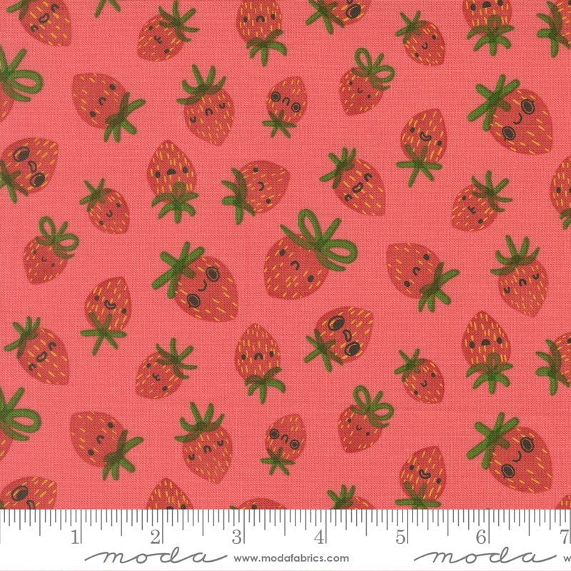 Funny Valentine: Strawberries in Coral