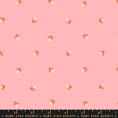 Carousel: Layer Cake
