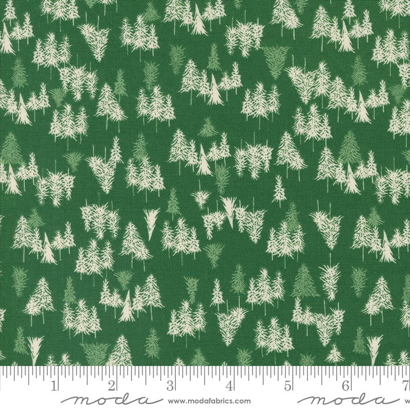 Wonderland: Tree Farm in Holly