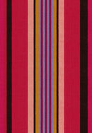 Narrative: Director in Warm