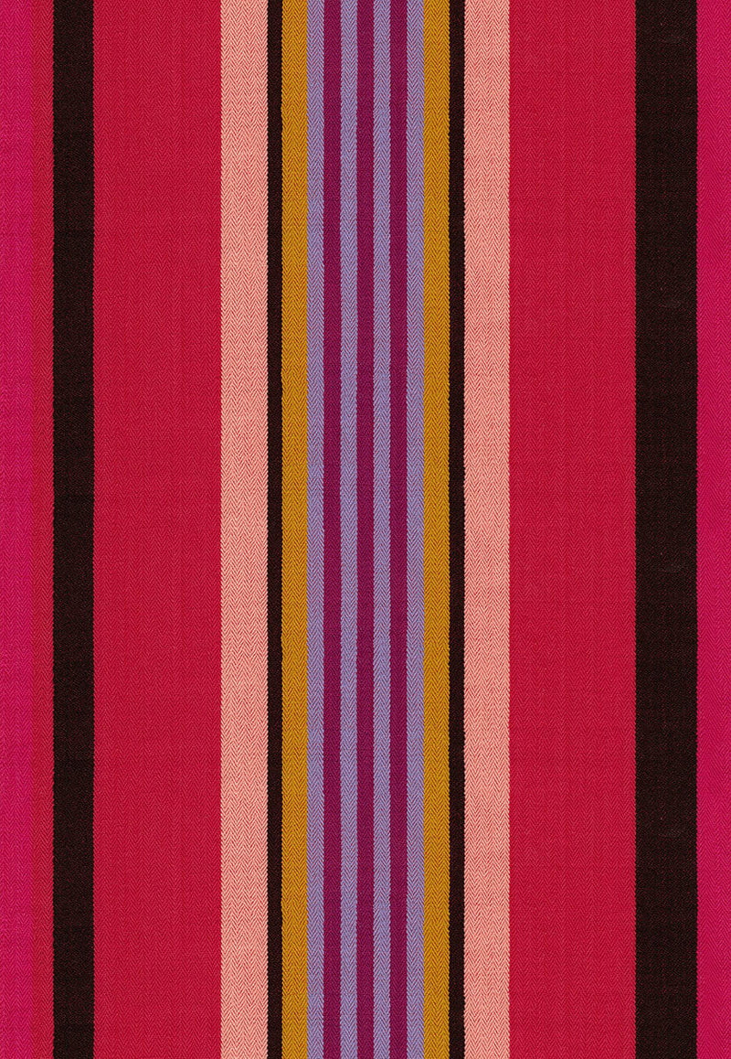 Narrative: Director in Warm