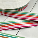 Webbing: Spring Stripe