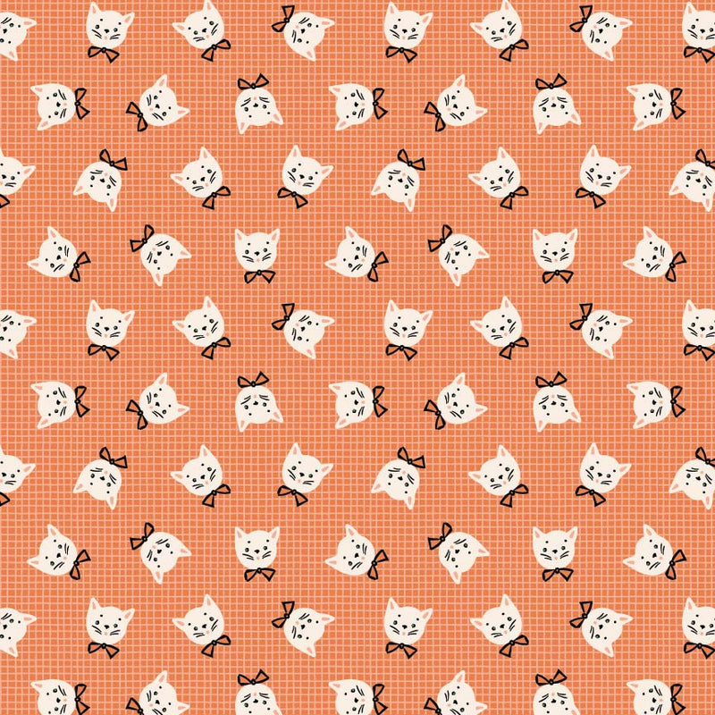 Sweet Tooth: Kitty in Orange