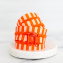 30" Zipper: Winter Citrus
